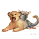 Illustration for article titled Adorable baby chimera yawns its way into your heart